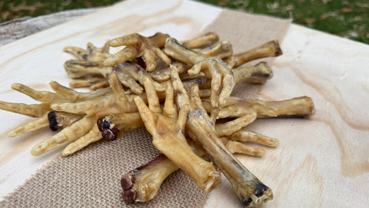 Benefits of Dried Chicken Feet for Dogs: A Natural and Healthy Treat