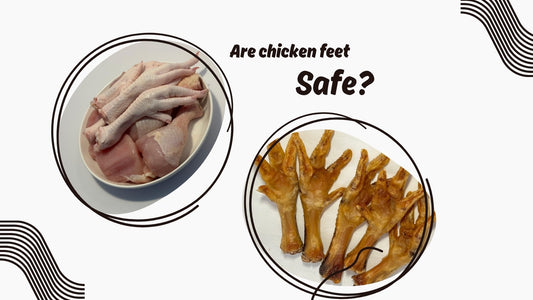 Raw chicken feet in a bowl next to slow-dried Canivoro chicken feet: are chicken feet safe for dogs?