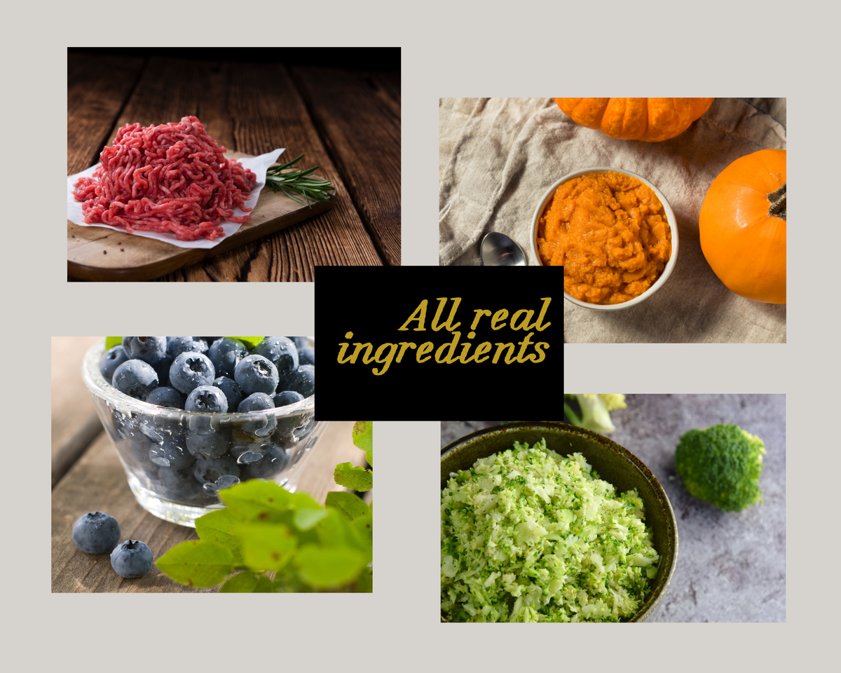 Beef & Blueberry Bites ingredients: grass-fed beef, pumpkin, blueberries and broccoli