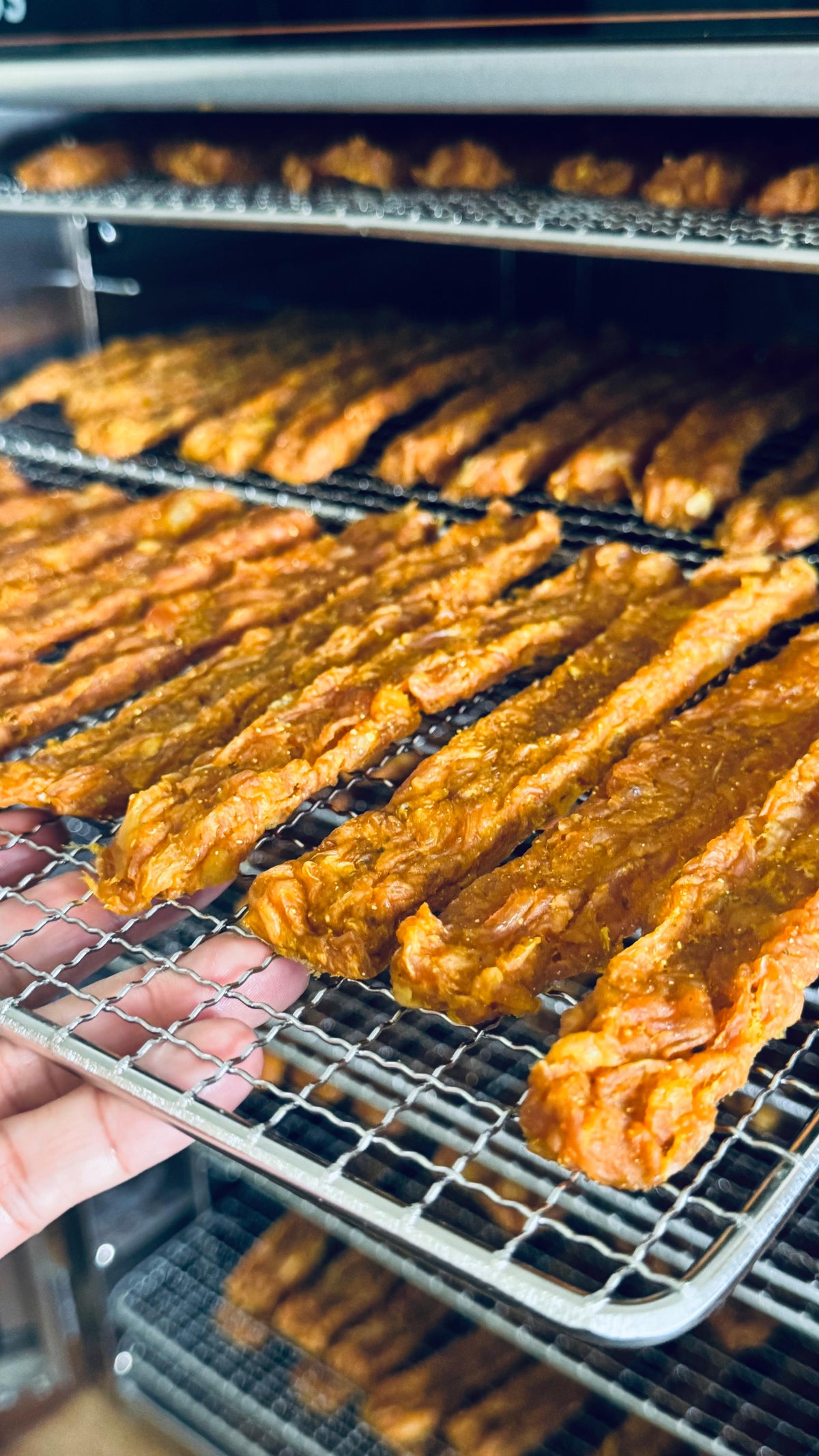 Freshly dried Chicken Prime Sticks coming out of the dehydrator in the Canivoro kitchen