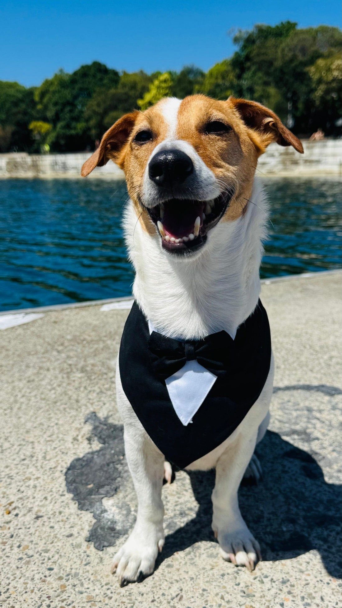 Pablo, Canivoro's Chief Taste Officer, smiling in a tuxedo bandana by the water in Sydney