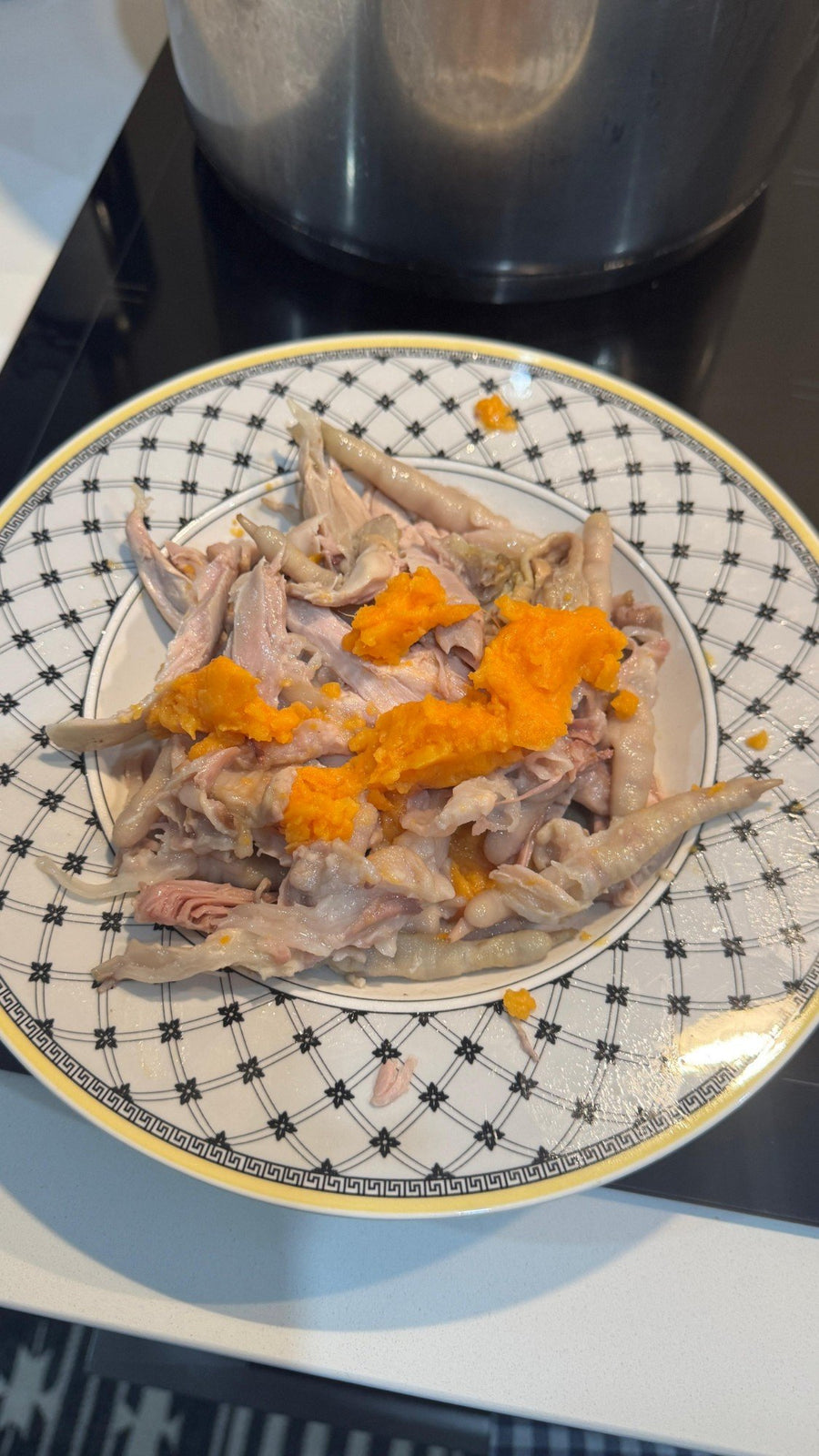 Pablo's first home-cooked meal: slow-cooked chicken feet and pumpkin on a plate, with the pot on the stove behind