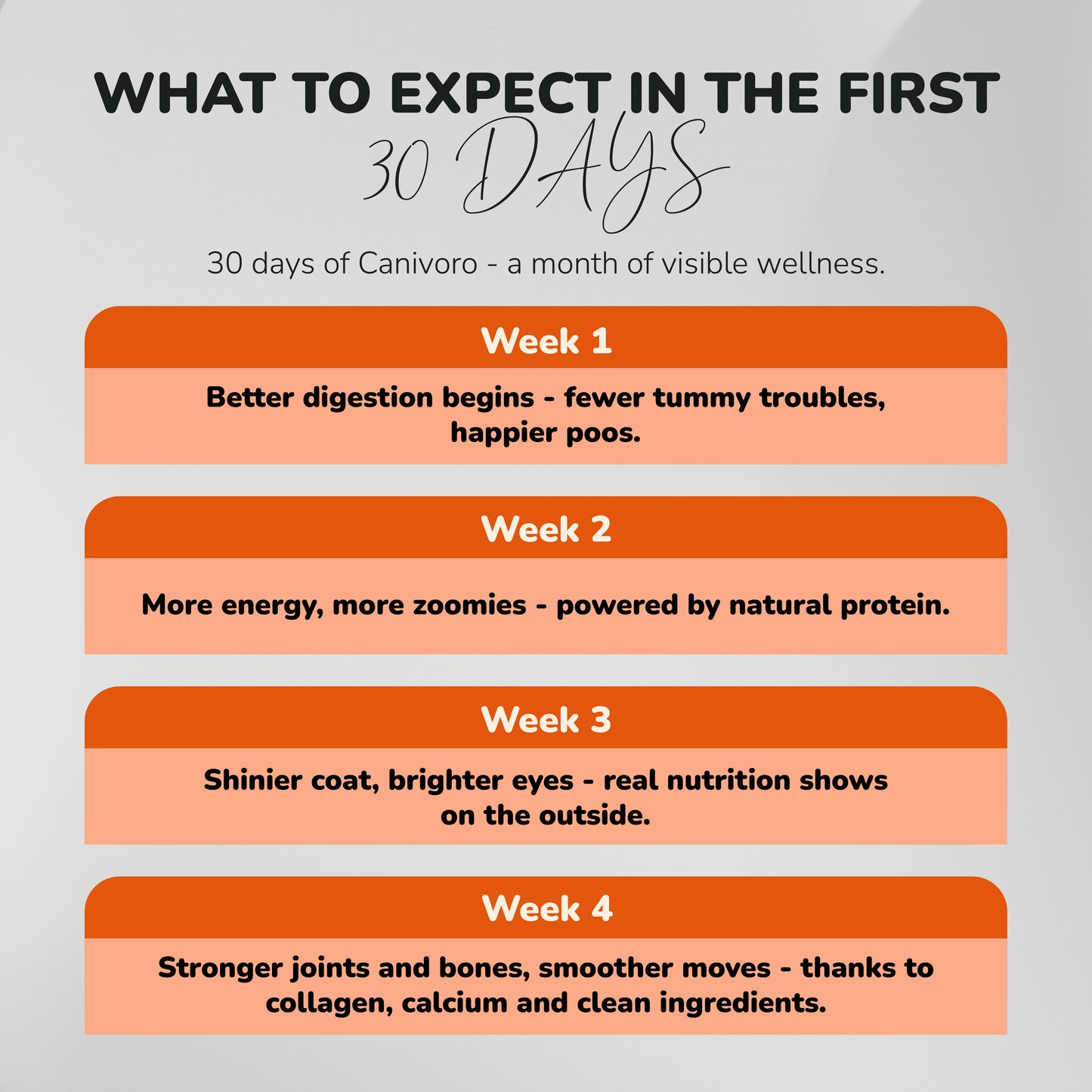 Dehydrated Chicken Sticks Superfoods