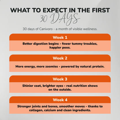 Dehydrated Chicken Sticks Superfoods