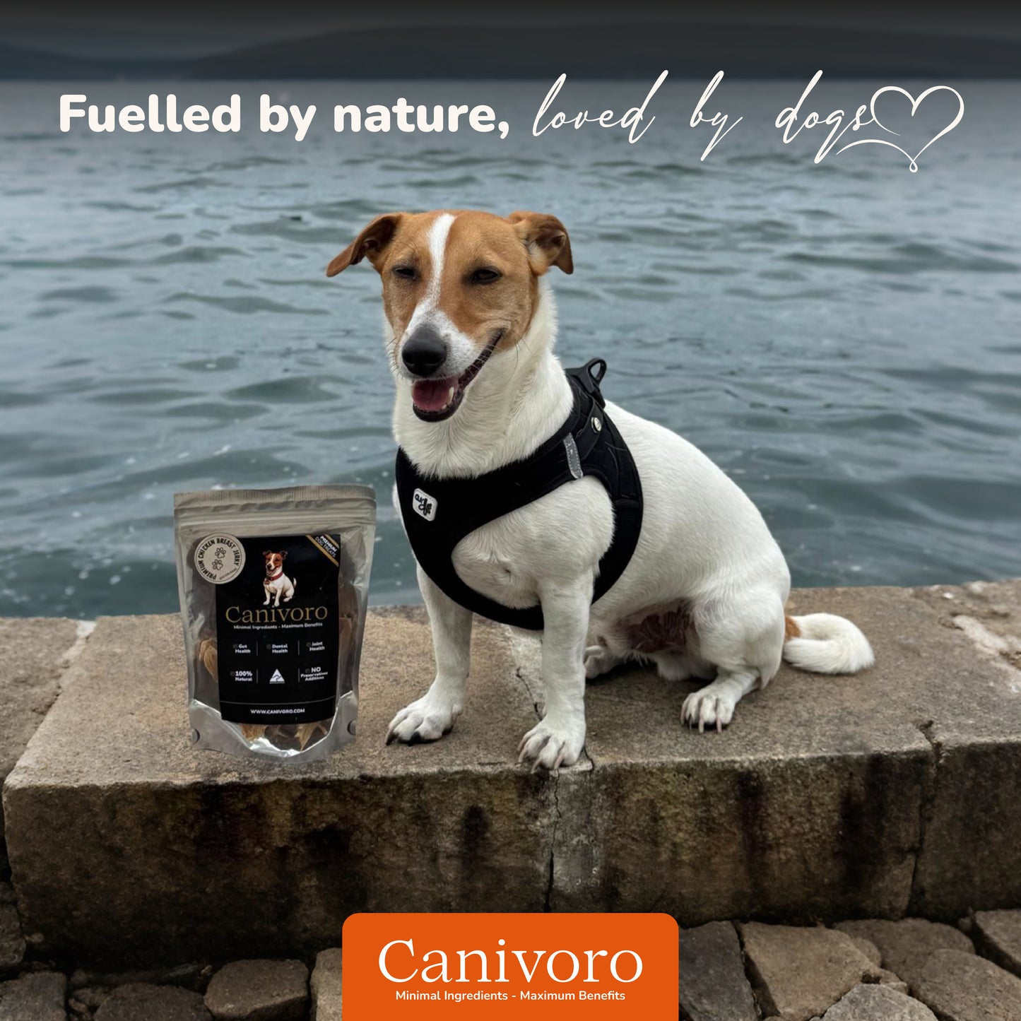 Dehydrated Chicken Sticks Superfoods