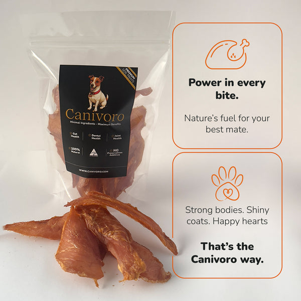 Canivoro chicken breast jerky with organic honey for dogs, with the Canivoro pouch