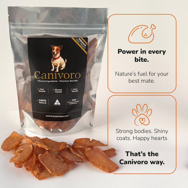 Canivoro Honey-Kissed Chicken Bites for dogs with the Canivoro pouch