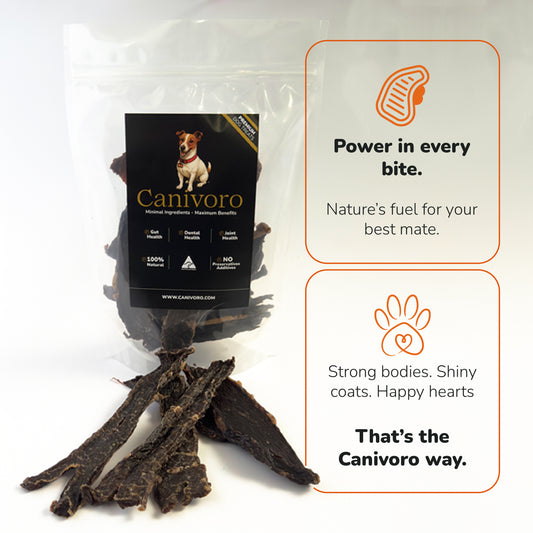 Beef Jerky Treats (Grass Fed)