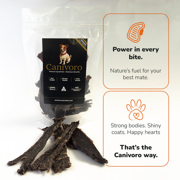 Canivoro grass-fed beef jerky for dogs with the Canivoro pouch