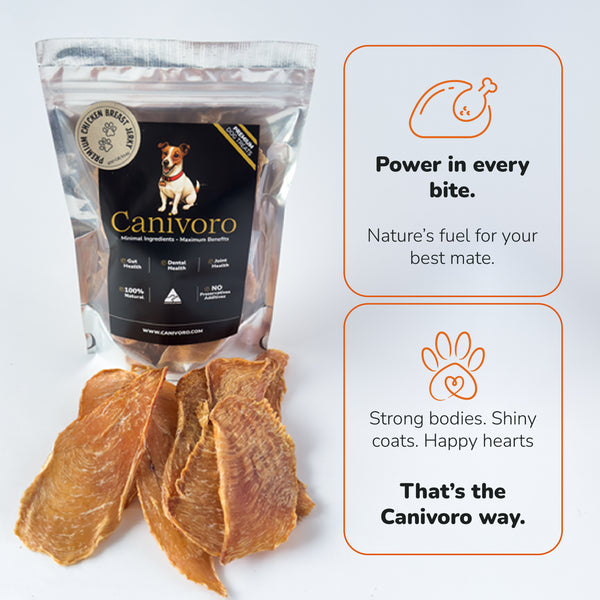 Canivoro free-range chicken breast jerky for dogs with the Canivoro pouch