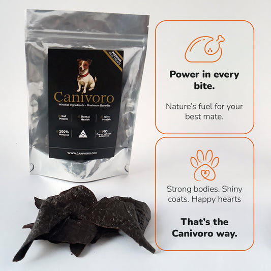 Chicken Liver + Blueberries