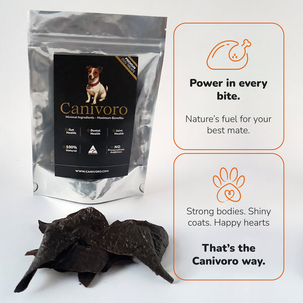 Canivoro chicken liver and blueberry dog treats with the Canivoro pouch